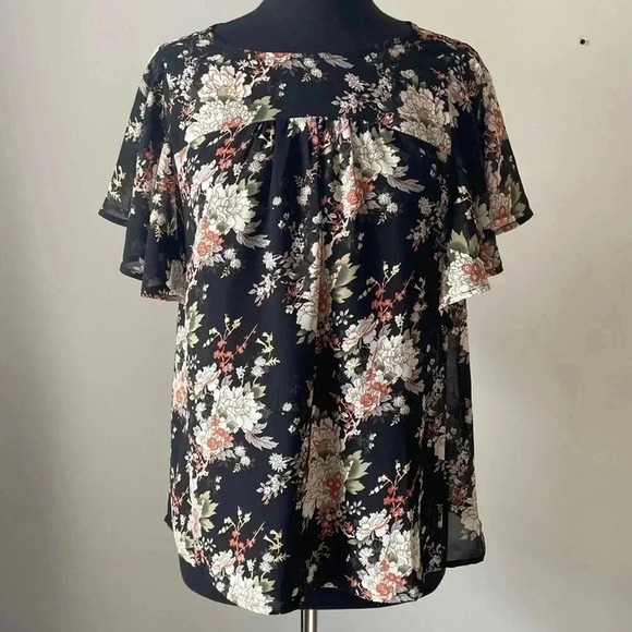 Doe & Rae | Sheer Blouse - Picture 1 of 6